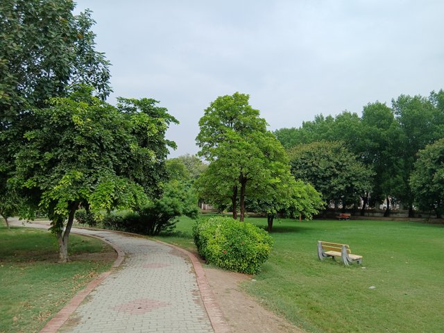 1000084913.jpg