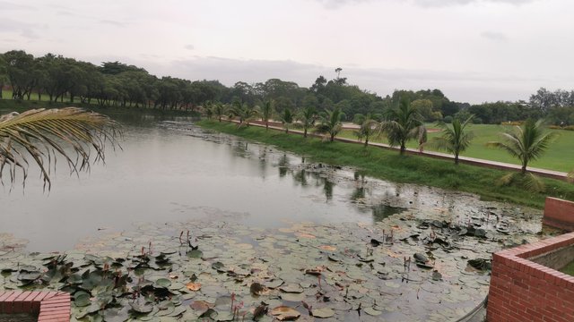 IMG_20240526_164742.jpg