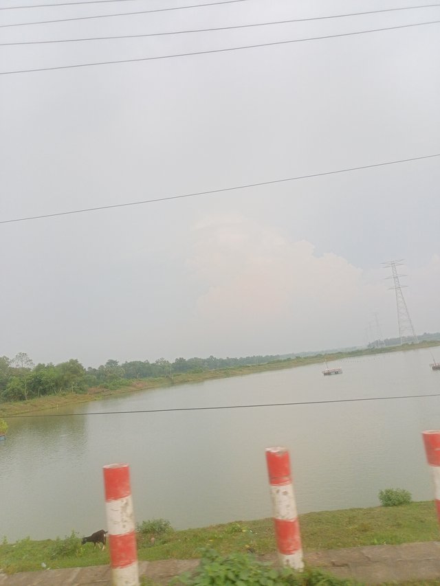 IMG20251006160409.jpg