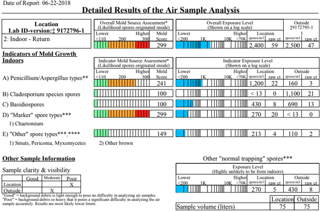 Mold Report.png