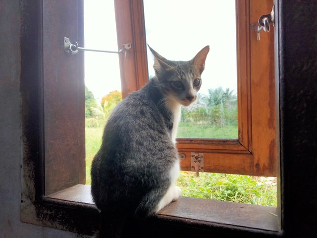 IMG20250703090700.jpg