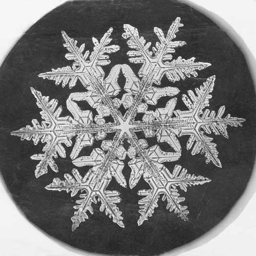 Wilson_A._Bentley_snowflake,_1890.jpg