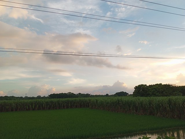 IMG_20250816_182436_810.jpg
