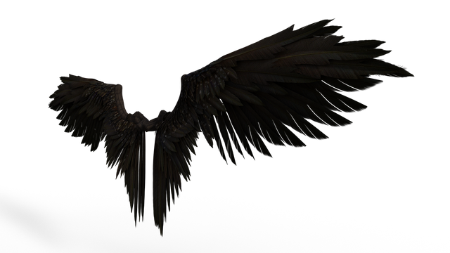 wings-4832550_1280.png