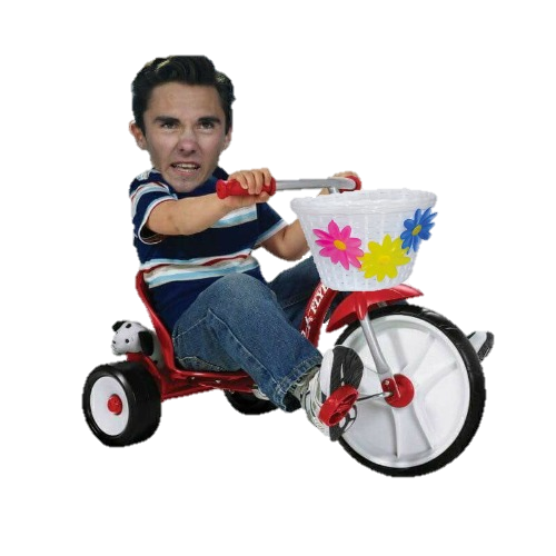 hogg.png