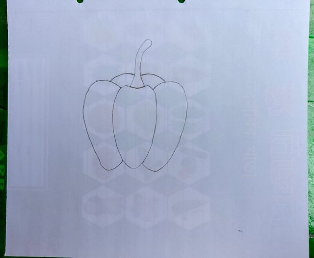 1000017867.jpg