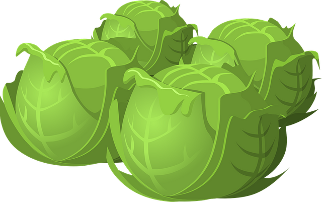 cabbage-575525__480.webp.png