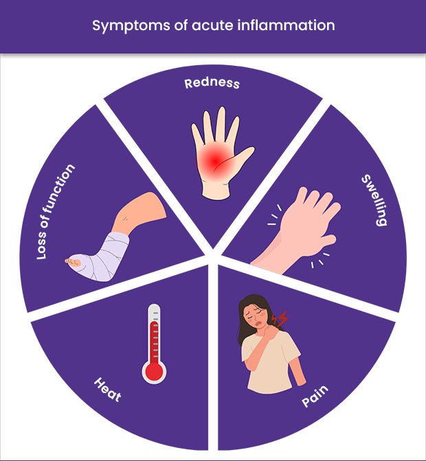symptoms-acute-inflammation-img.jpg