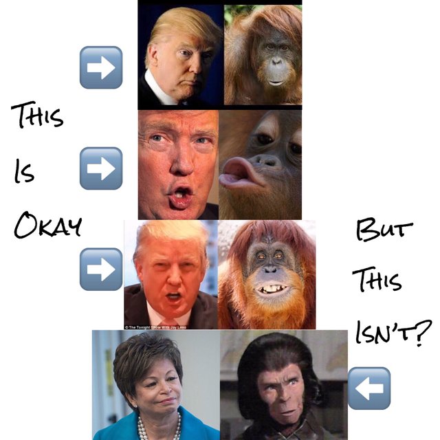 Roseanne Ape Trump Jarrett Contrast.jpeg