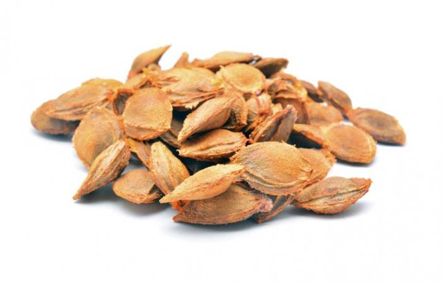 a-pile-of-apricot-kernels.jpg