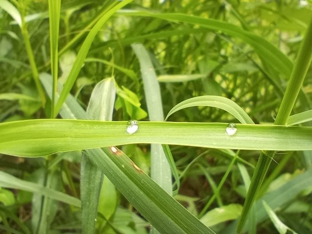 রেইন (4).jpg