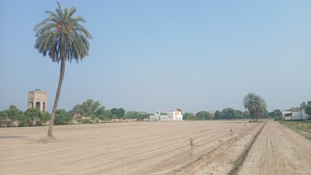 1000081949.jpg