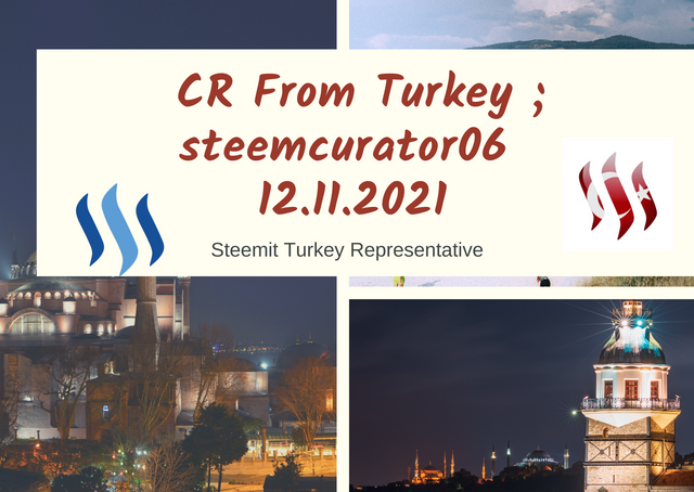 Second Weekly -steemcurator03 Turkey Curator Report.png