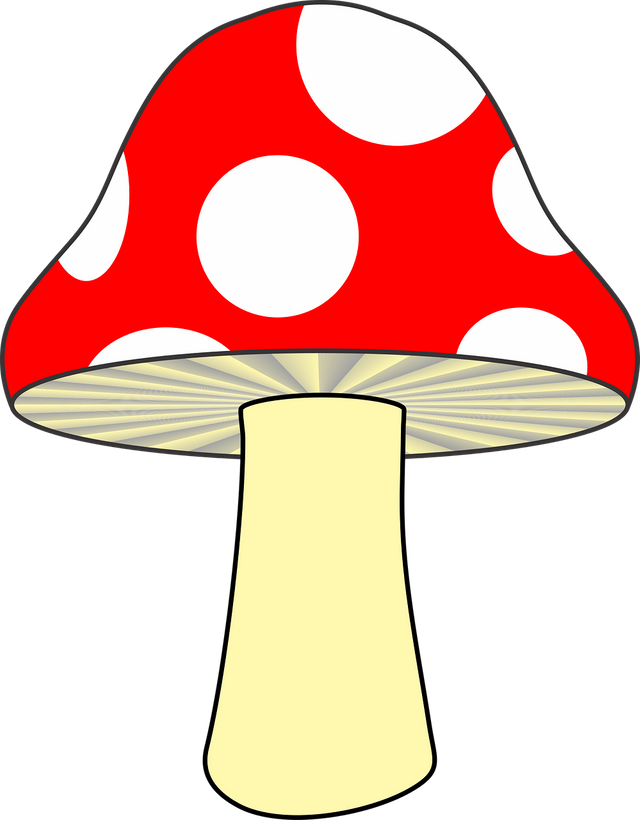 mushroom-1601826_1280.png