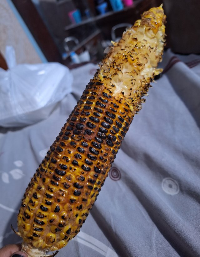 1001095536.jpg