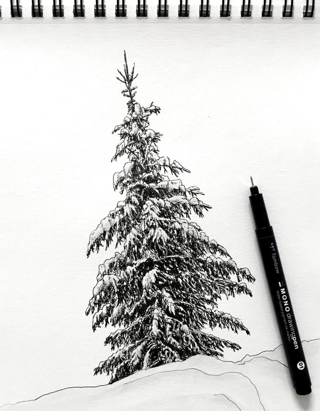 snowy-pine-tree-pen-drawing.jpg