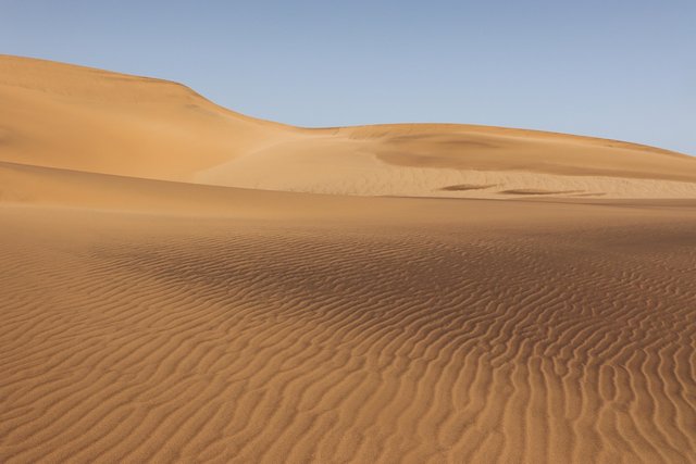 namib-desert-7559993_1280.jpg