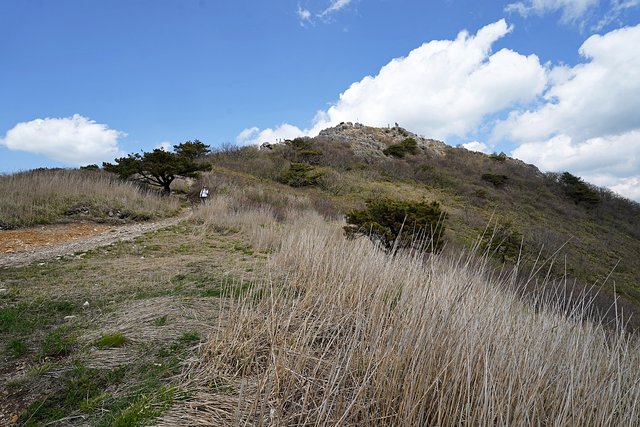 b-DSC09135.JPG