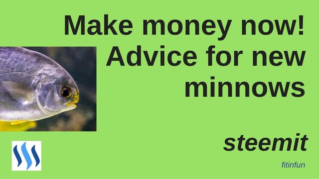 fitinfun How to make money as a new minnow on steemit 2.jpg