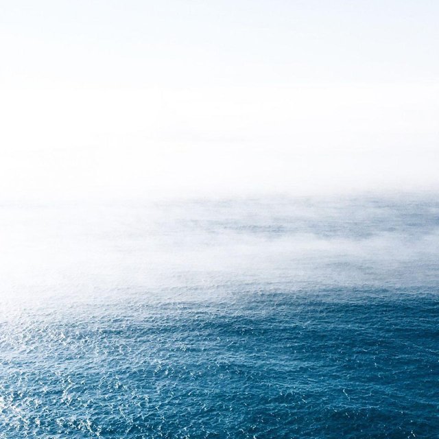 https _blogs-images.forbes.com_priyashukla_files_2018_07_elizabeth-lies-159004-unsplash-1200x1200.jpg