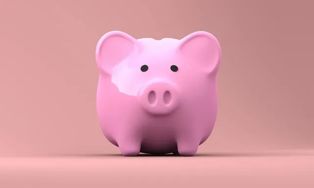 piggy-bank-2889042_1280.webp.jpg