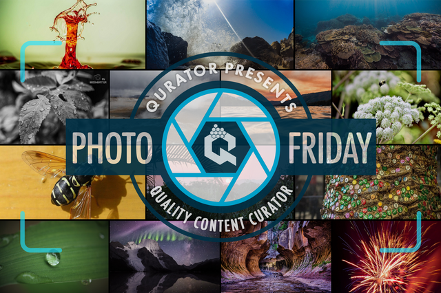photo_friday02.png