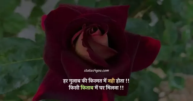 flower-quotes-in-hindi-1.webp