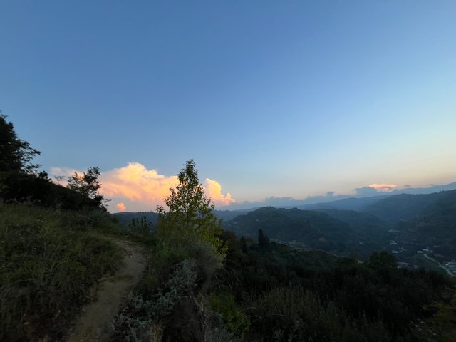 IMG_4898.jpeg