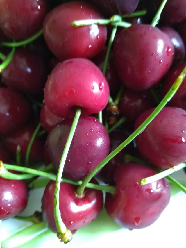 Cherries 3.jpg