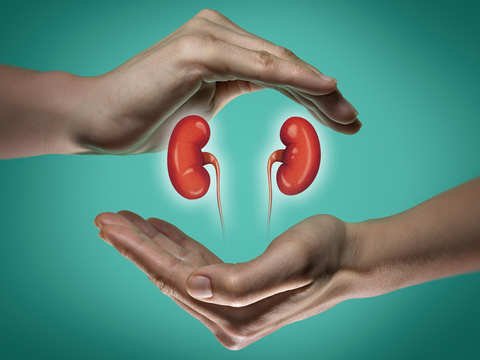 facts-about-kidney-health.jpg