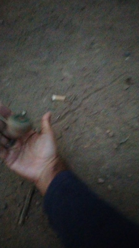 IMG_20230224_09254505.jpg
