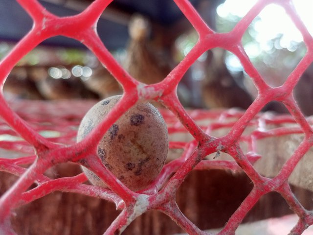 IMG20250509170803.jpg