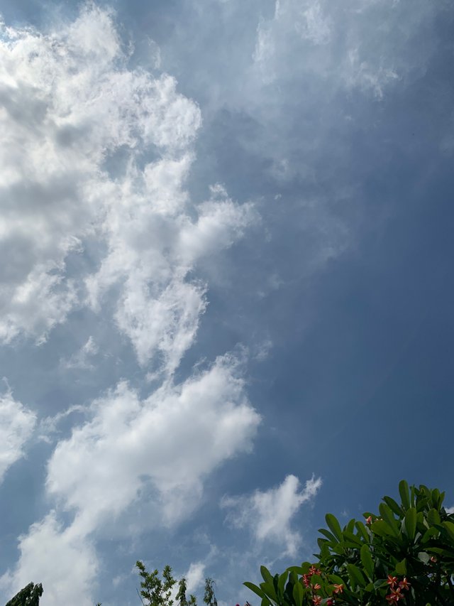 sky2.jpg