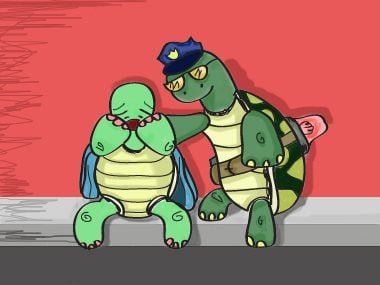 hilarious-jokes-turtle-cartoon.jpg