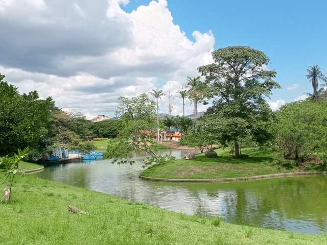 IMG_20250909_132525_882.jpg