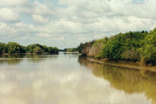 199911 Adelaide River.jpg
