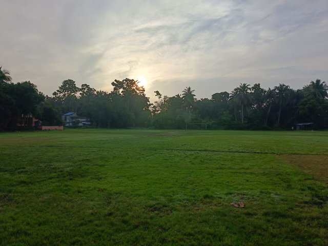 1000057494.jpg