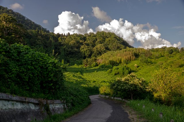 _DSC9688.jpg
