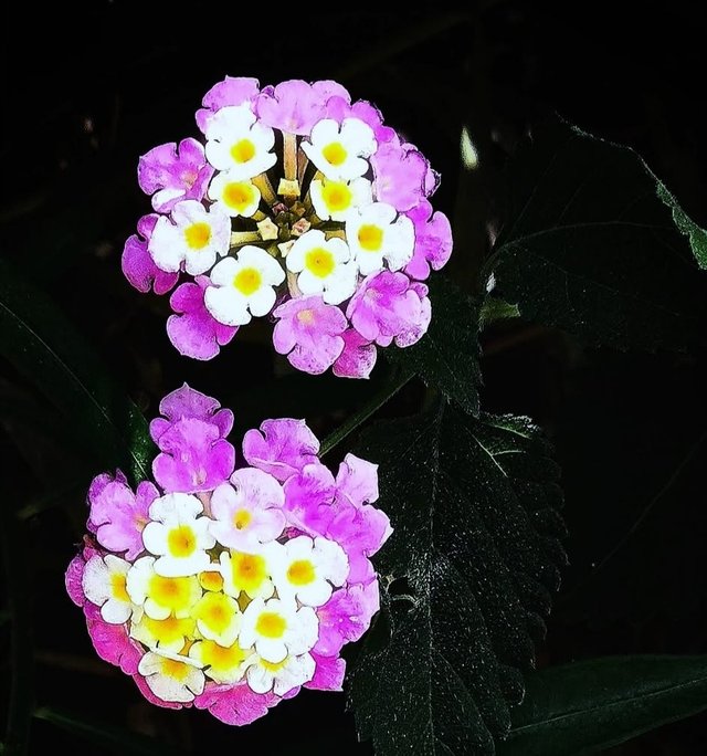 IMG_20250919_215754.jpg