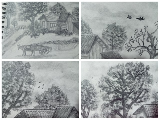 Collage_20250531_230311.jpg