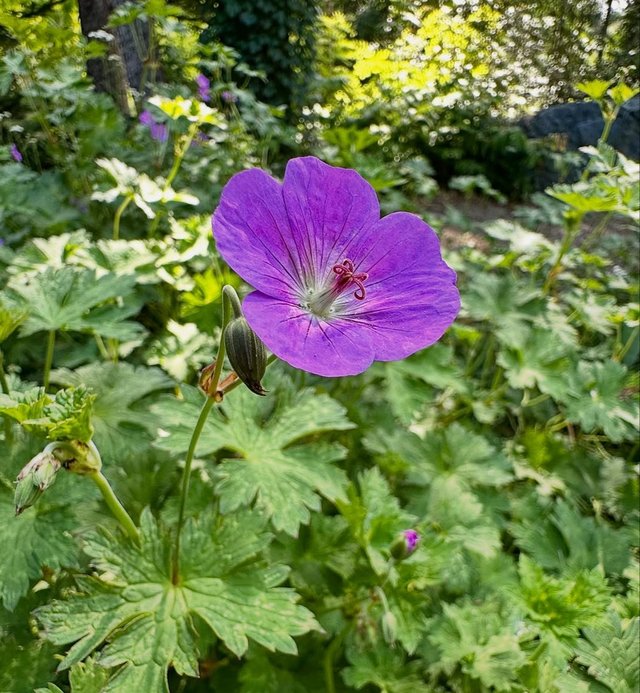 IMG_20250728_205747.jpg