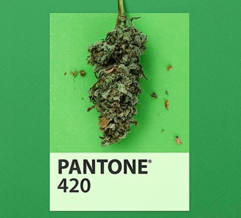 pantone 420.PNG