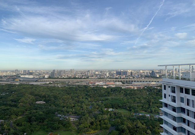 Chatuchak Park1.jpg