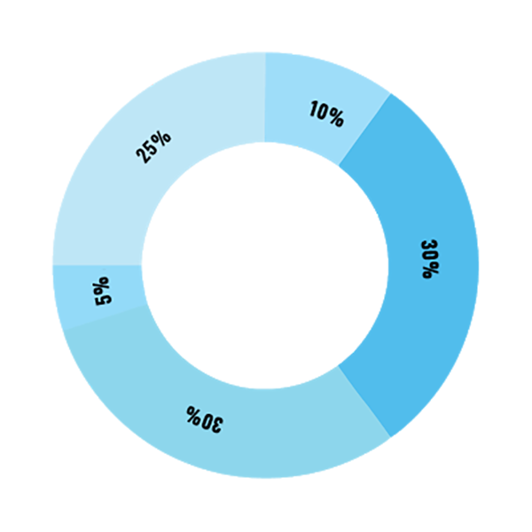 USE OF FUNDS.png