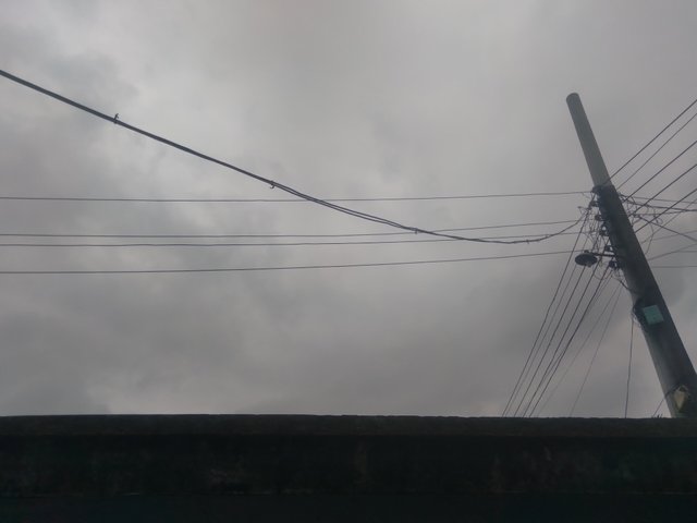 20250620_180310.jpg