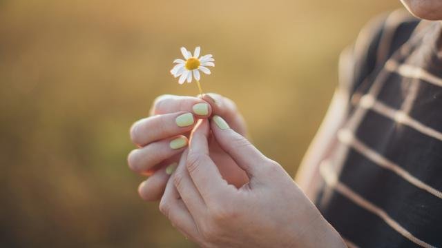 062329400_1577072099-person-holding-white-daisy-3099666.jpg