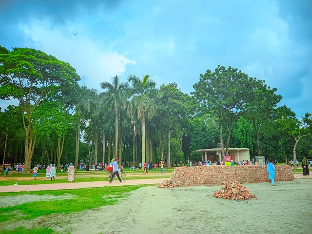 ahp (4137).jpg