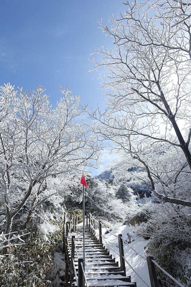 winter-snow-mountain-jeju-island-republic-of-korea (1).jpg