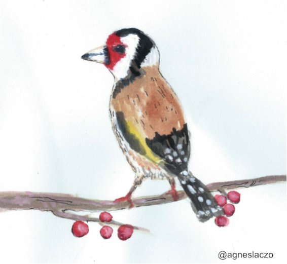 watercolor bird painting original.jpg