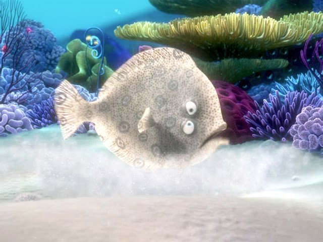 FindingNemo_036Pyxurz.jpg